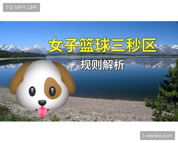 深入解读篮球“限制区规则”的核心要点与适用条件